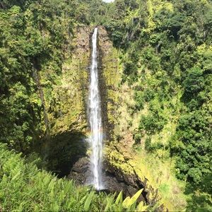 Meet your Posher, Vivian